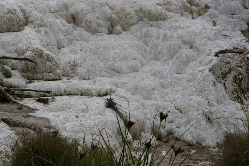Nieuw-Zeeland 2011 - 0730